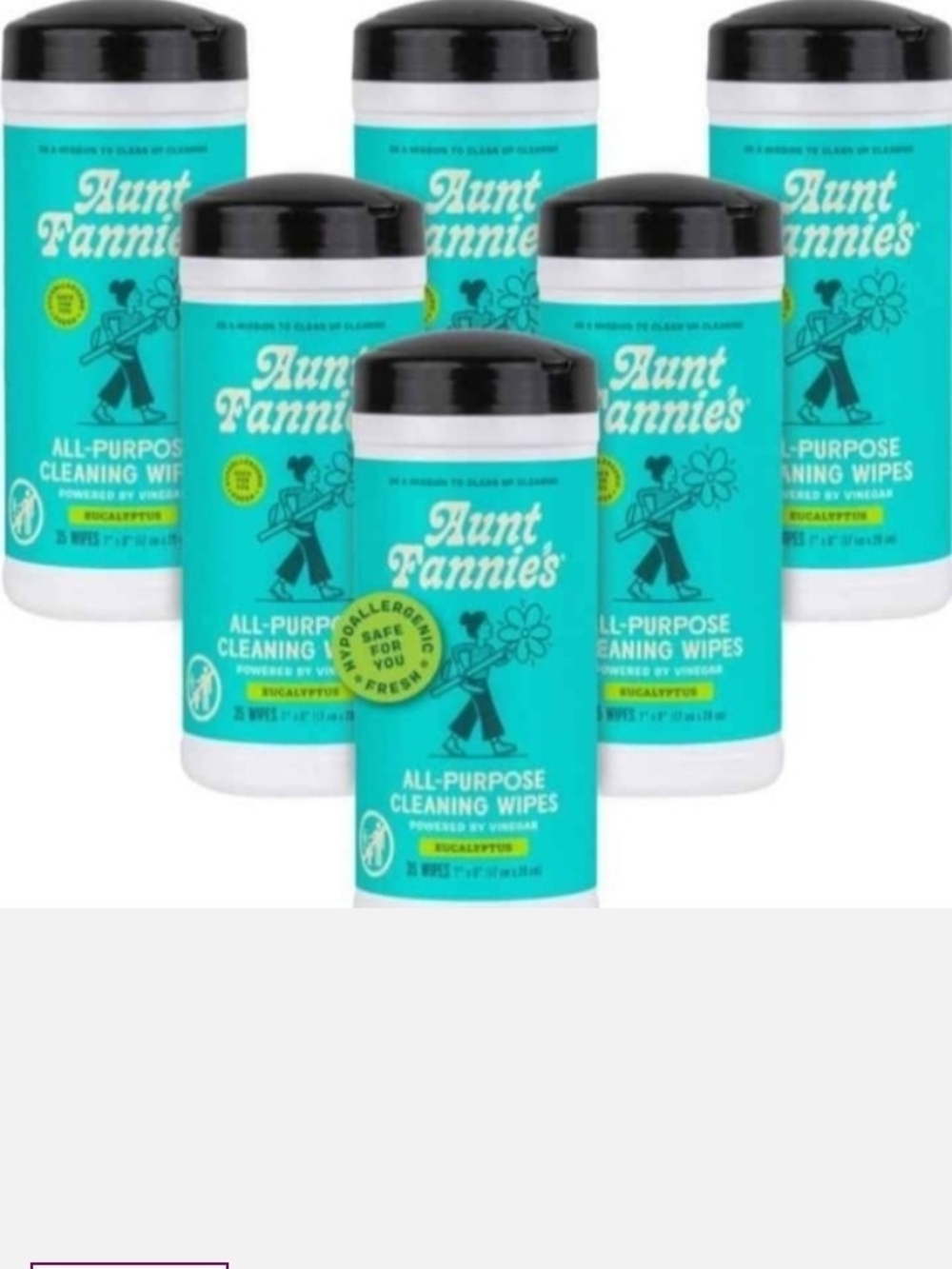All-Purpose Cleaning Wipes - Eucalyptus (Turquoise)